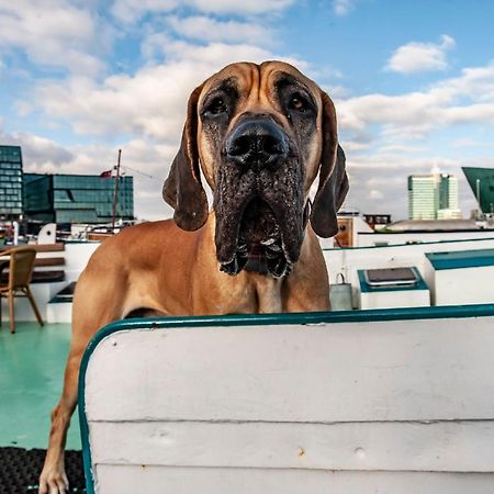 Amsterdam Hotelboat المظهر الخارجي الصورة